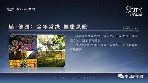 深圳文哥最新的爆料新闻,最新劲爆新闻揭秘  第3张