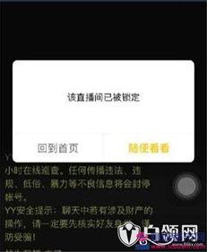 斌哥最新爆料消息视频播放,最新爆料视频内容大起底  第2张