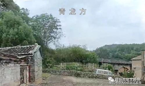 桉氏夫妇爆料了吗视频,揭秘背后惊人真相 第3张 桉氏夫妇爆料了吗视频,揭秘背后惊人真相 第3张