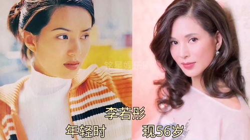 娱乐圈爆料对艺人有哪些影响,声誉起伏与职业生涯的挑战  第3张