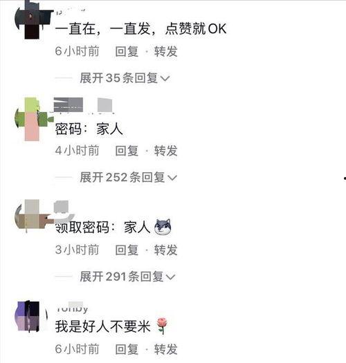 韩婧格视频爆料,揭秘娱乐圈不为人知的幕后真相