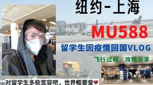 纽约留学生爆料视频,揭秘留学生活背后的真实一面